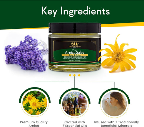 Royal Arnica Salve, Organic Bruise Care and Skin Recovery Balm, 2 oz, Natural Arnica Oil for Muscles and Joints