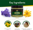 Royal Arnica Salve, Organic Bruise Care and Skin Recovery Balm, 2 oz, Natural Arnica Oil for Muscles and Joints