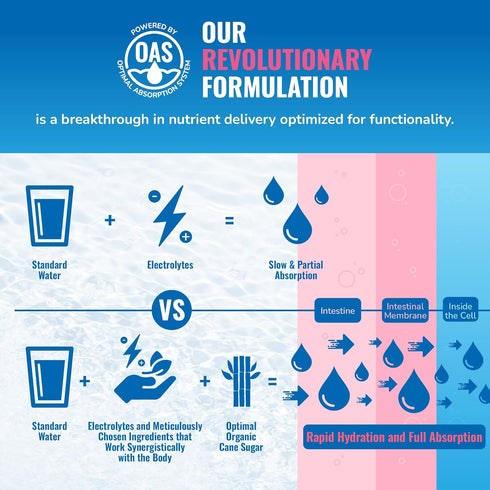 Hydration + Energy Amplifier — Multivitamin Electrolytes Powder Packets — Vitamin D3 K2, B6 B12 Vitamins, L-Theanine,