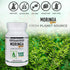 Moringa Leaf Gold Extract 10X, 60 Count Veggie Capsules, Vitamins & Minerals