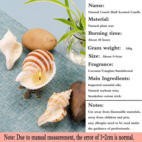 Handmade Natural Scented Candles - Conch Shell Soy Wax Candles Scented with Essential Oils, Home Scented Candles