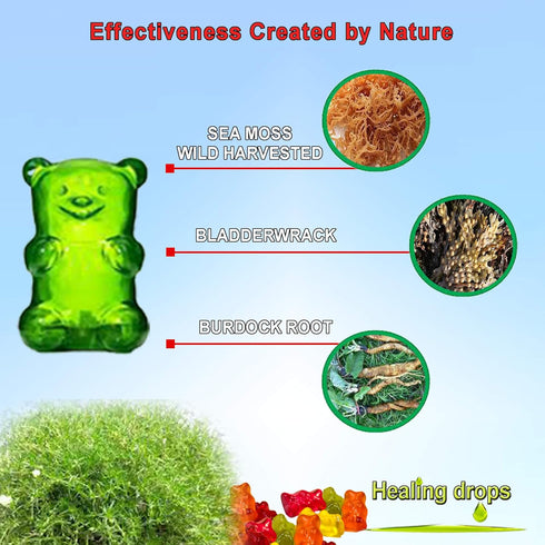 Sea Moss Gummies - Irish Sea Moss with Bladderwrack and Burdock Root – Alkaline Keto Vegan Non-GMO Diet – Skin & Detox