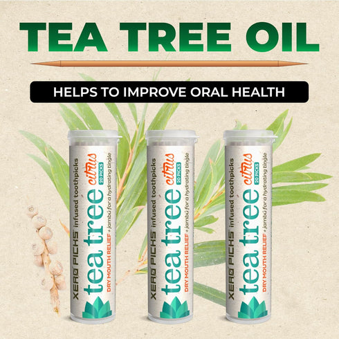 Xero Picks Tea Tree Flavored Toothpicks for Long Lasting Fresh Breath & Dry Mouth Prevention (Citrus)