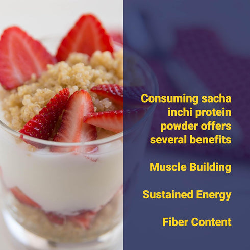 Organic Sacha Inchi Plant Based Protein Powder by Aliksir, 1 Bag (8.8 oz), 100% Natural, Vegan, Gluten-Free, 9 Grams