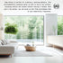 Muse Apothecary Home Ritual Active Odor Eliminator Spray - Furniture Deodorizer & Bathroom Odor Eliminator