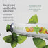 Revitin Toothpaste | Fluoride-Free Prebiotic Mint Tooth Gel | No SLS, Gluten Free, Dye Free, GMO Free, No Sweeteners |