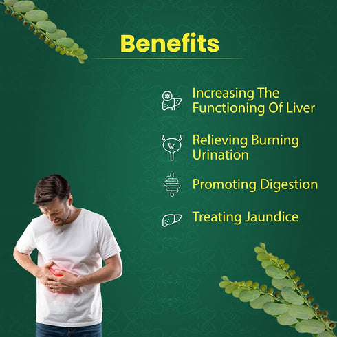 Organic Bhumi Amla Powder - Rich in Antioxidant Vitamin C, Supports Healthy Immune Function, 100Gm (Pack of 3)