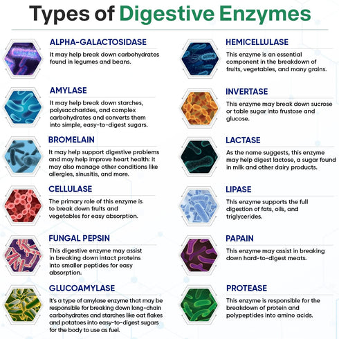 Wholesome Wellness Digestive Enzymes 1000MG Plus Prebiotics & Probiotics Supplement, 180 Capsules