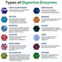 Wholesome Wellness Digestive Enzymes 1000MG Plus Prebiotics & Probiotics Supplement, 180 Capsules