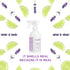 Sapadilla Multi-Surface Countertop Spray - Sweet Lavender + Lime, 16 Ounce (Pack of 2), Plant-Based Cleaner