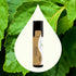 Plant Therapy Patchouli Essential Oil 100% Pure, Therapeutic Grade, Pre-Diluted Roll-On, 10 mL (1/3 oz)