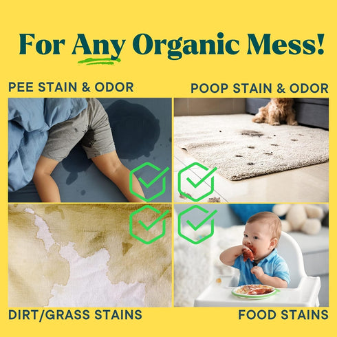 Natural Odor and Stain Remover Spray, Unscented Plant-Based Cleaner for Home, Carpet, Upholstery
