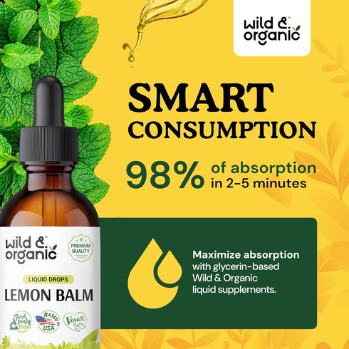 Organic Lemon Balm Tincture - 2 fl oz Liquid Extract for Stress Relief - Vegan Alcohol Free Supplement Drops