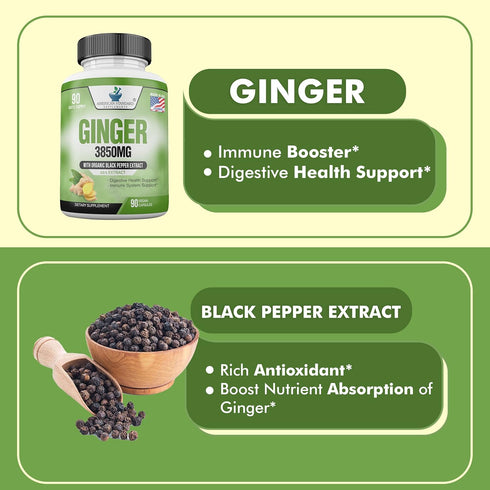 American Standard Supplements Organic Ginger 3850mg with Organic Black Pepper Extract, 90 Capsules
