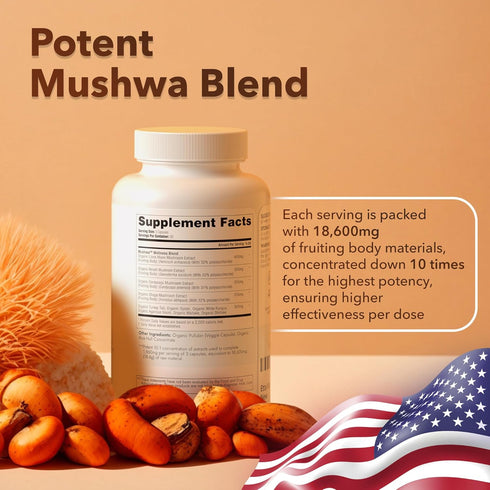 USDA Organic Lions Mane Supplement Capsules - 10x Adaptogenic Mushroom Complex - 18,600mg/serv with Ashwagandha, Chaga,