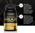 Shilajit Supplement - 60 Capsules Pure Himalayan Authentic Shilaijt Resin with 20% Fulvic Acid for Energy Support