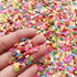Polymer Clay Slices Nail Art Slices - Fruits Slices DIY Decoration Kit for Nail Art and Cellphone Crafts (10000 PCS)