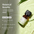 AROMAFUME Lemongrass Essential Oil - 100% Natural, Therapeutic Grade Essential Oils - Pure, Citrusy Aromatherapy Oil for Home Diffusers - Gifts for Her - 10ml