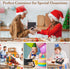 15 PCs Kraft Boxes with Window, 7.3x5.3x2.5 Inch Small Treat Cookie Bakery Boxes for Gift Giving, Dessert Boxes
