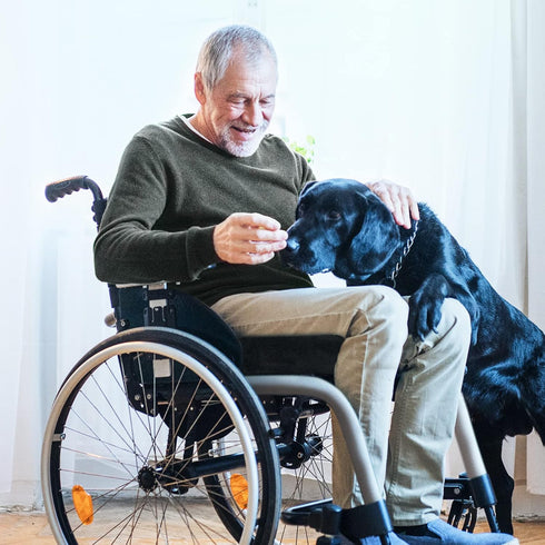 AUVON Wheelchair Seat Cushions (18"x16"x3") for Sciatica, Back, Coccyx Pain Relief, Memory Foam with Removable Strap