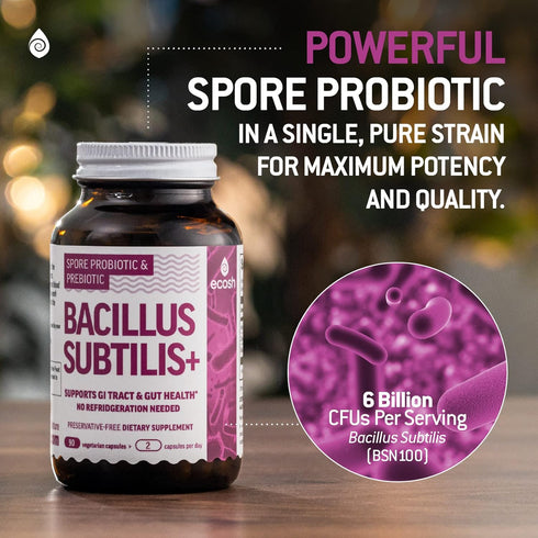 Bacillus Subtilis Probiotic — High Potency Strain with Prebiotic for Daily Gut Health, 90 Vegetarian Capsules, 6