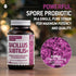Bacillus Subtilis Probiotic — High Potency Strain with Prebiotic for Daily Gut Health, 90 Vegetarian Capsules, 6