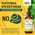 Organic Lemon Balm Tincture - 2 fl oz Liquid Extract for Stress Relief - Vegan Alcohol Free Supplement Drops