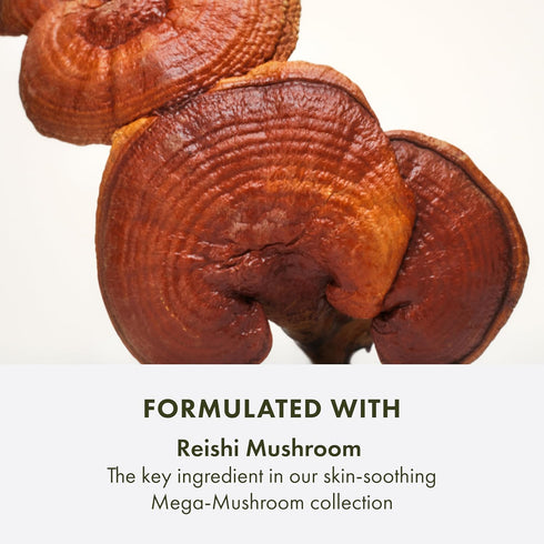 Origins Mega-Mushroom Micellar Cleanser for Sensitive Skin, 6.7 Fl Oz with Reishi Mushroom