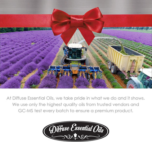 Diffuse Essential Oils 10ml - Wintergreen Essential Oil - 0.33 Fluid Ounces