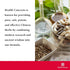 Health Concerns Calm Spirit - 90 Capsules Calm Aid Supplements for Men & Women Supporting Heart Yin