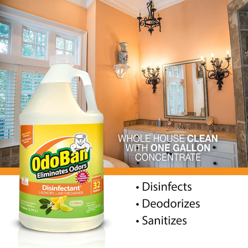 OdoBan Ready-to-Use Disinfectant and Odor Eliminator, Citrus Scent, Set of 2, 32 oz Spray & 1 Gallon Concentrate