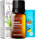 Gya Labs English Lavender Essential Oil for Diffuser - 0.34 Fl Oz - 100% Pure Natural Oil for Skin, Hair & Candle Making