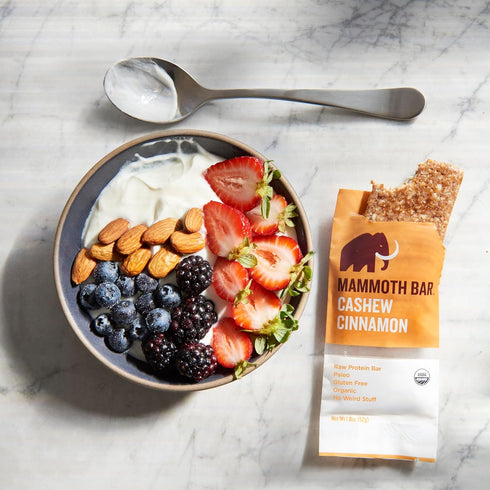 Mammoth 10-12g 1.8 Oz. (10 Cashew Cinnamon Bar- Organic, Paleo, Gluten Free and Raw by Bar, Protein, Bar Bars)