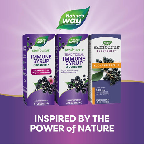 Nature’s Way Sambucus Elderberry Traditional Immune Syrup - 4 Fl Oz, Highly Concentrated Black Elderberry Extract