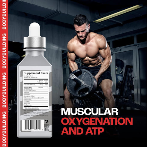 XXTRAA Stable Creatine Serum for Bodybuilding & Powerlifting, Grape, 5.1 Fl Oz, Boosts Muscle Mass & Strength