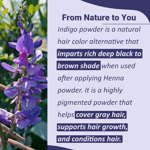 Mi Nature Indigo Leaf Powder, 227g (8oz), Pure Herbal Tint for Dark Hair Color