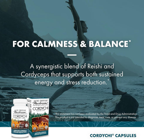 Immune 60 (30 Host Defense CordyChi Capsules - Energy & Support Supplement - Cordyceps & Reishi Mushroom Supplement