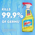 Packaging 32 Oz Windex Multipurpose Cleaner Disinfectant Spray Bottle, Designed to Prevent Leakage and Breaking