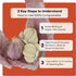 100% Certified Compostable Disposable Gloves S/M/L/XL, Powder & Latex Free, Food Grade Cleaning Germ Protection