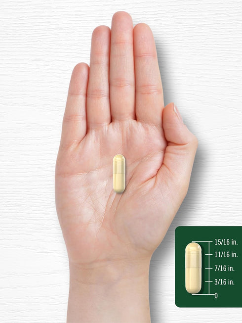 Carlyle Soy Isoflavones for Women and Men 1500mg | 200 Capsules | Non-GMO, Gluten-Free