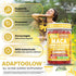 Gummies 60 Gummies Gummy Clean Nutra Maca Root Ashwagandha Fenugreek Slippery Elm Saffron Hibiscus Beta Carotene