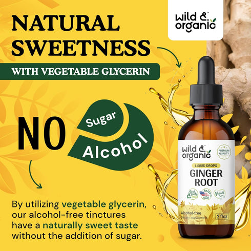 Ginger Liquid Extract - Organic Ginger Root Drops - Vegan, Alcohol Free Tincture - 2 fl oz