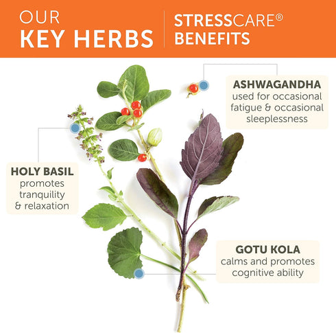 Himalaya StressCare, 30 Day Supply - Herbal Adrenal Support for Calming Relaxation, Stress Relief, 120 Capsules