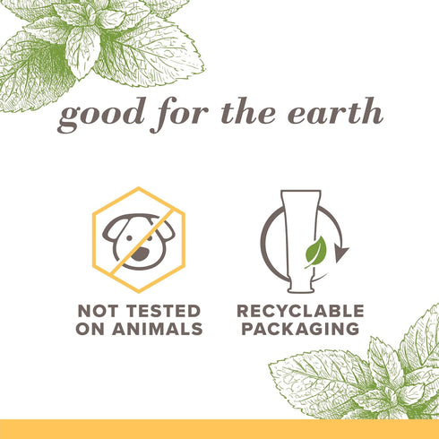 oz, 4.7 Burt's Bees, Toothpaste Fluoride Free Purely White Zen Peppermint, Ounce
