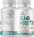 Organic Irish Sea Moss Pills, Wildcrafted Dr Sebi Inspired Seamoss Blend with Turmeric, Burdock Root & Bladderwrack