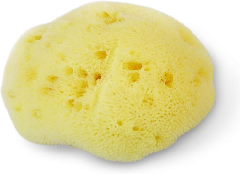Premium Natural FINA Silk Sponges - 2pc, 4"-4.5" Luxury Soft Sea Sponge for Makeup, Facial Cleansing & Bathing
