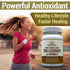 Windmill Health Products Natural Vitamins Zinc Lozenges with Vitamin C - Honey Lemon Flavor, 60 Lozenges for Immune