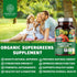 N1N Premium Organic Superfood Greens, 28 Powerful Ingredients, Natural Fruit and Veggie Supplement - 60 Ct