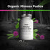 Amen Organic Mimosa Pudica Seeds Capsules, Vegan Plant Supplement, 120 Capsules, 2 Month Supply
