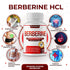 Premium Berberine Supplement 1800mg - High Purity Berberine HCl 97% - Immune System Support, Non-GMO Vegan, 90 Capsules